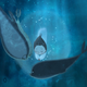 Illustration for article titled Dont Miss The Magical Animated Oscar Nominee iSong Of The Sea/i